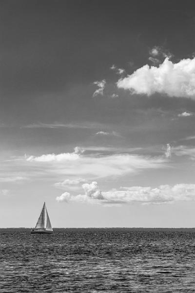 2019_09_10_Bretagne (0083).jpg - Dans le Golfe du Morbihan (septembre 2019)